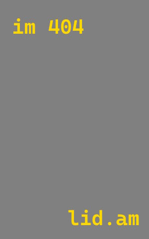 Импорт нового Li Auto L9 в Елизово под заказ с доставкой